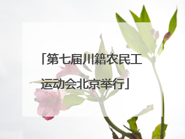 第七届川籍农民工运动会北京举行