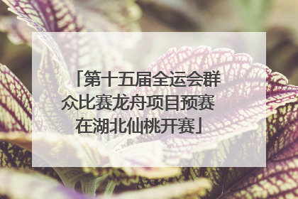 第十五届全运会群众比赛龙舟项目预赛在湖北仙桃开赛