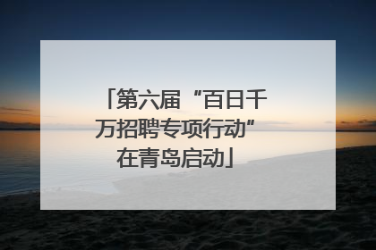 第六届“百日千万招聘专项行动”在青岛启动