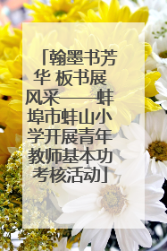 翰墨书芳华 板书展风采——蚌埠市蚌山小学开展青年教师基本功考核活动