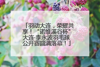 羽动大连，荣耀共享！“诺维溪谷杯”大连·李永波羽毛球公开赛圆满落幕！