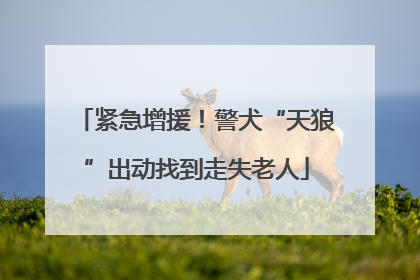 紧急增援！警犬“天狼”出动找到走失老人