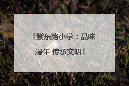 紫东路小学：品味端午 传承文明