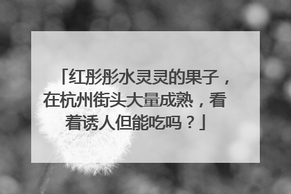 红彤彤水灵灵的果子，在杭州街头大量成熟，看着诱人但能吃吗？