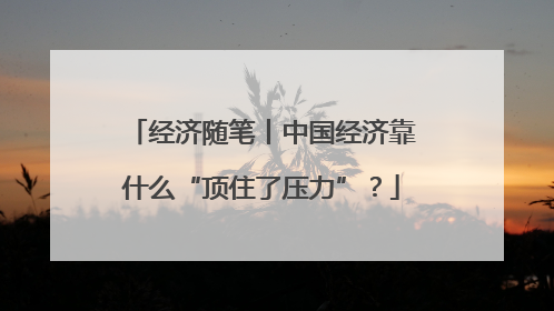 经济随笔丨中国经济靠什么“顶住了压力”？