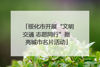 绥化市开展“文明交通 志愿同行”擦亮城市名片活动