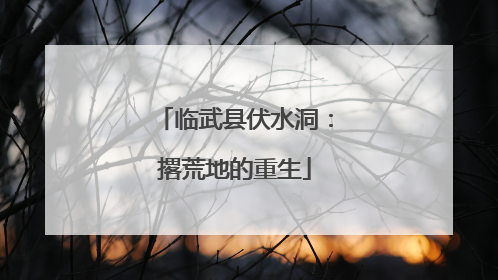 临武县伏水洞：撂荒地的重生