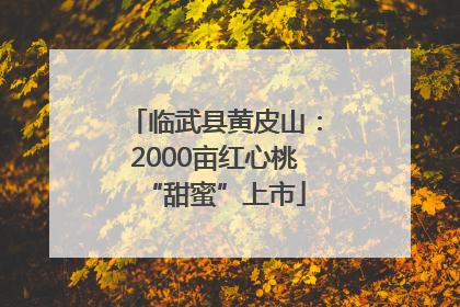 临武县黄皮山：2000亩红心桃“甜蜜”上市