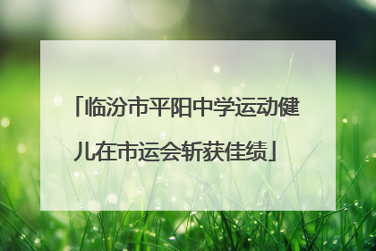 临汾市平阳中学运动健儿在市运会斩获佳绩