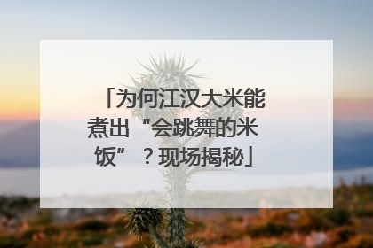 为何江汉大米能煮出“会跳舞的米饭”？现场揭秘