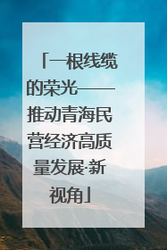 一根线缆的荣光——推动青海民营经济高质量发展·新视角