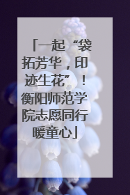 一起“袋拓芳华，印迹生花”！衡阳师范学院志愿同行暖童心