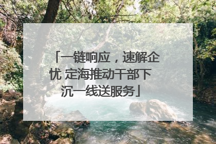 一链响应，速解企忧 定海推动干部下沉一线送服务