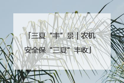 三夏“丰”景｜农机安全保“三夏”丰收