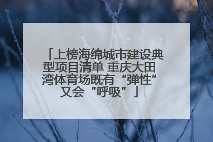 上榜海绵城市建设典型项目清单 重庆大田湾体育场既有“弹性”又会“呼吸”