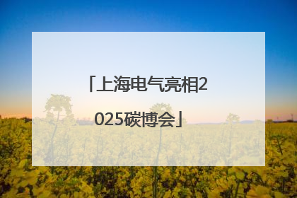 上海电气亮相2025碳博会