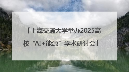 上海交通大学举办2025高校“AI+能源”学术研讨会