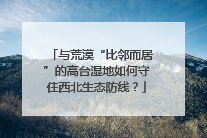 与荒漠“比邻而居”的高台湿地如何守住西北生态防线？