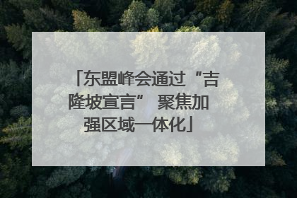 东盟峰会通过“吉隆坡宣言” 聚焦加强区域一体化