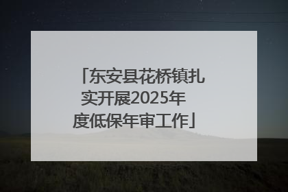 东安县花桥镇扎实开展2025年度低保年审工作