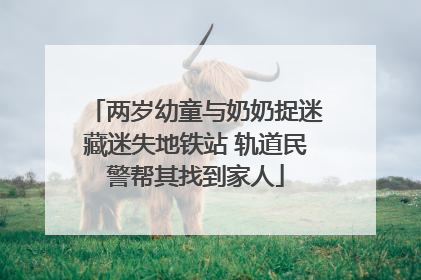 两岁幼童与奶奶捉迷藏迷失地铁站 轨道民警帮其找到家人