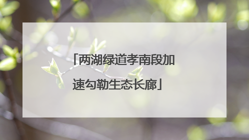 两湖绿道孝南段加速勾勒生态长廊