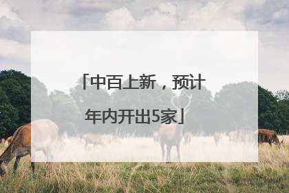 中百上新，预计年内开出5家