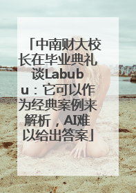 中南财大校长在毕业典礼谈Labubu：它可以作为经典案例来解析，AI难以给出答案