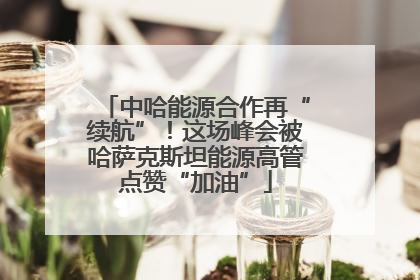 中哈能源合作再“续航”！这场峰会被哈萨克斯坦能源高管点赞“加油”