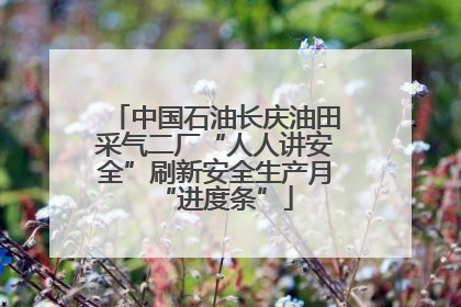 中国石油长庆油田采气二厂“人人讲安全”刷新安全生产月“进度条”