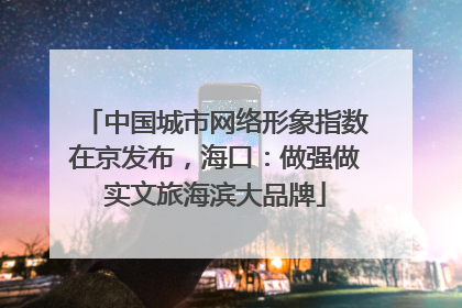 中国城市网络形象指数在京发布，海口：做强做实文旅海滨大品牌