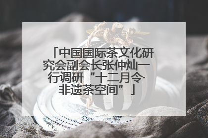 中国国际茶文化研究会副会长张仲灿一行调研“十二月令·非遗茶空间”
