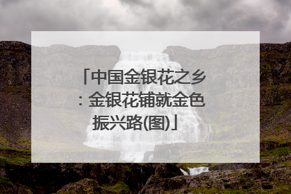 中国金银花之乡：金银花铺就金色振兴路(图)