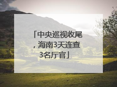 中央巡视收尾，海南3天连查3名厅官