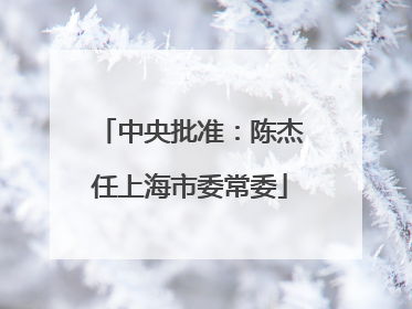 中央批准：陈杰任上海市委常委