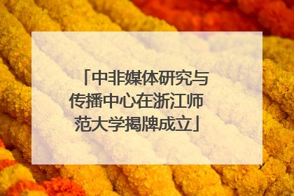 中非媒体研究与传播中心在浙江师范大学揭牌成立