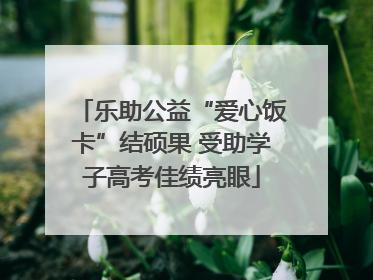 乐助公益“爱心饭卡”结硕果 受助学子高考佳绩亮眼