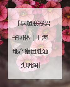 乒超联赛男子团体｜上海地产集团胜汕头明润