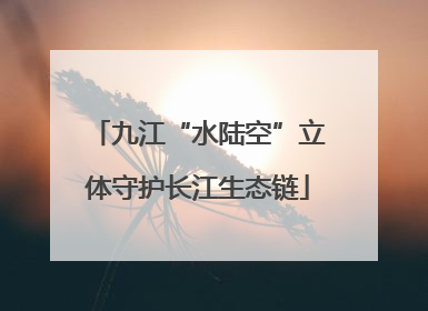 九江“水陆空”立体守护长江生态链