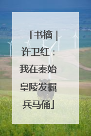 书摘｜许卫红：我在秦始皇陵发掘兵马俑