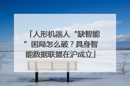 人形机器人“缺智能”困局怎么破？具身智能数据联盟在沪成立