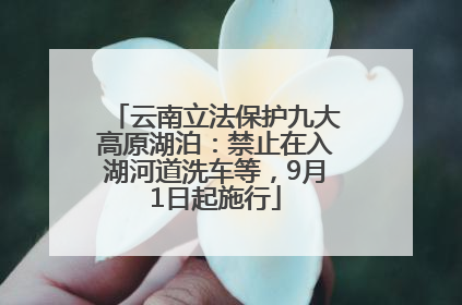 云南立法保护九大高原湖泊：禁止在入湖河道洗车等，9月1日起施行