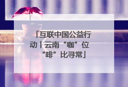 互联中国公益行动丨云南“咖”位“啡”比寻常