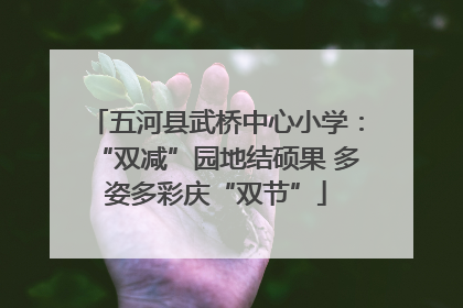 五河县武桥中心小学：“双减”园地结硕果 多姿多彩庆“双节”