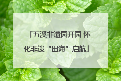 五溪非遗园开园 怀化非遗“出海”启航