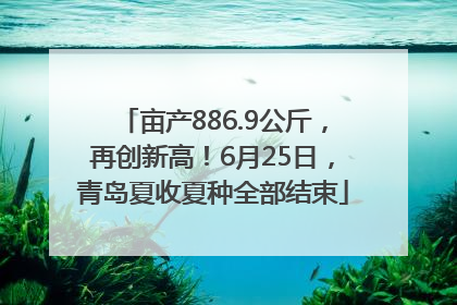 亩产886.9公斤，再创新高！6月25日，青岛夏收夏种全部结束