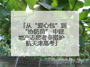 从“爱心包”到“协防员” 中建地产志愿者多措护航天津高考