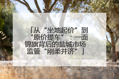 从“坐地起价”到“原价提车”：一面锦旗背后的盐城市场监管“刚柔并济”