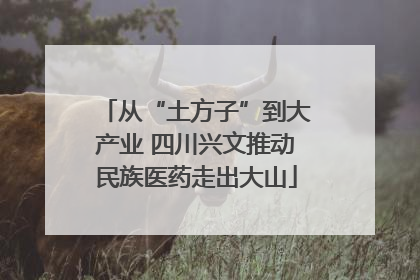 从“土方子”到大产业 四川兴文推动民族医药走出大山