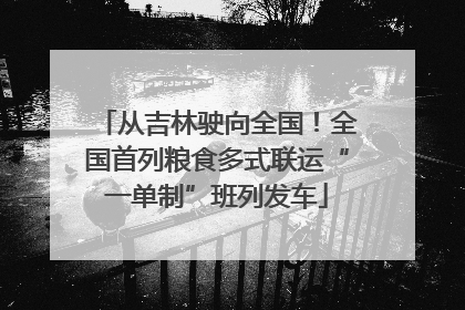 从吉林驶向全国！全国首列粮食多式联运“一单制”班列发车